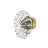 Oval Fluted Crystal 1 3/4" Cabinet Knob In Polished Brass